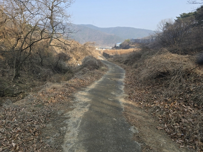 울산광역시 울주군 두서면 미호리 776-1 답 경매 사진 5