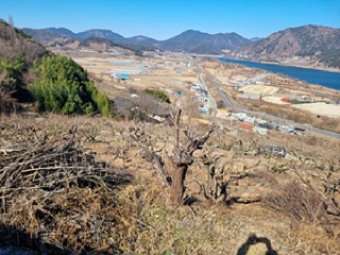 경상남도 창원시 의창구 북면 하천리 산21 외 4필지 임야 경매 사진 5