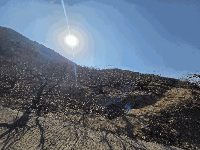 경상남도 창원시 의창구 북면 하천리 산21 외 4필지 임야 경매 사진 10