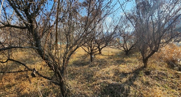 경상남도 거제시 상동동 684 외 1필지 답 경매 사진 4