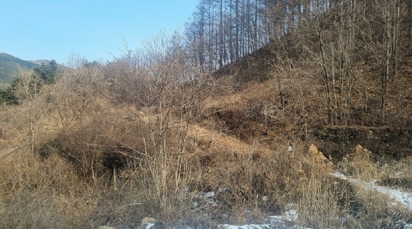 경상남도 거창군 가북면 몽석리 250 전 경매 사진 2
