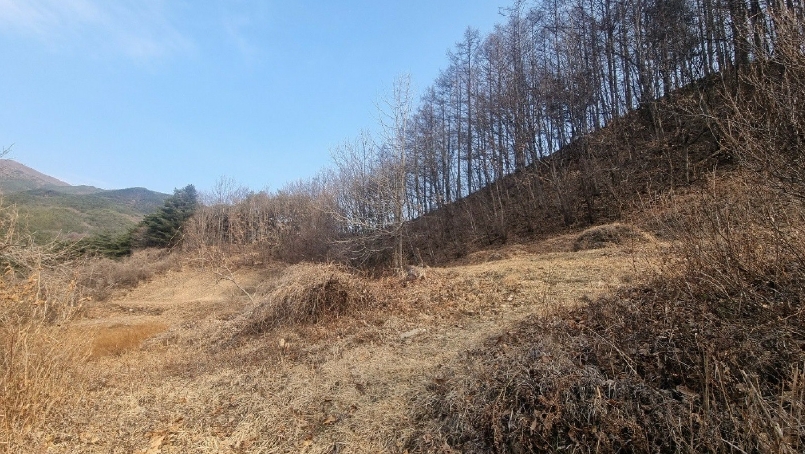 경상남도 거창군 가북면 몽석리 250 전 경매 사진 3