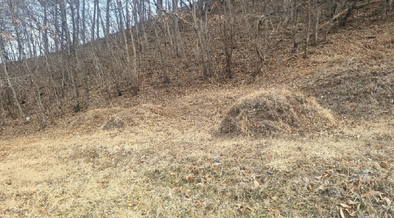경상남도 거창군 가북면 몽석리 250 전 경매 사진 4