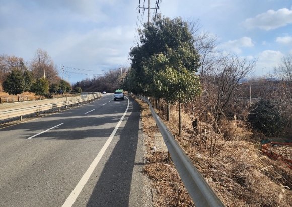 전라남도 광양시 황금동 768-4 임야 경매 사진 4
