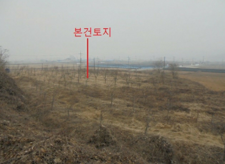 충청북도 충주시 앙성면 강천리 129-3 전 경매 사진 5