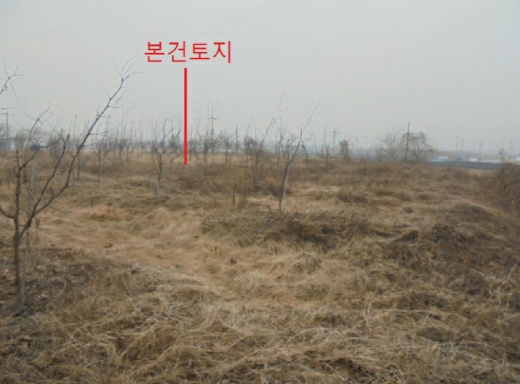 충청북도 충주시 앙성면 강천리 129-3 전 경매 사진 8