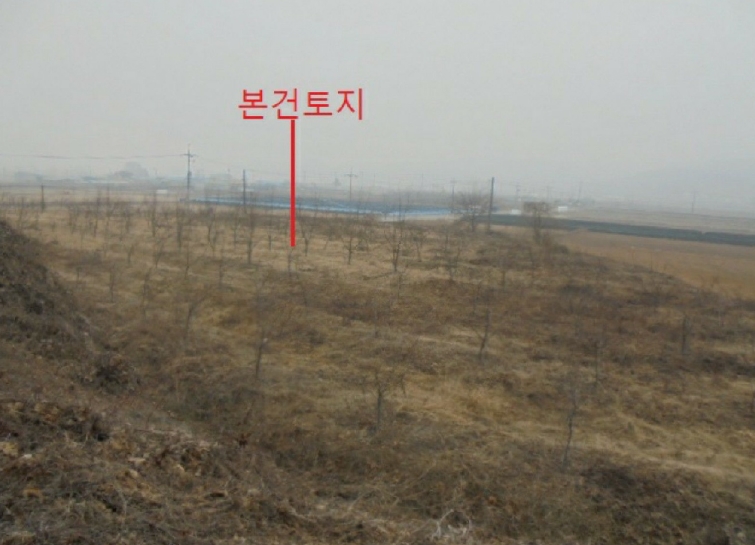 충청북도 충주시 앙성면 강천리 129-3 전 경매 사진 9