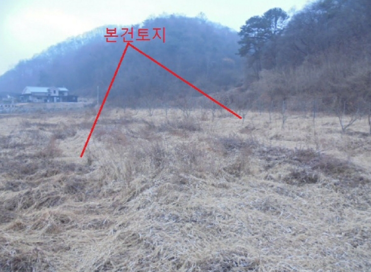 충청북도 충주시 앙성면 강천리 129-3 전 경매 사진 10