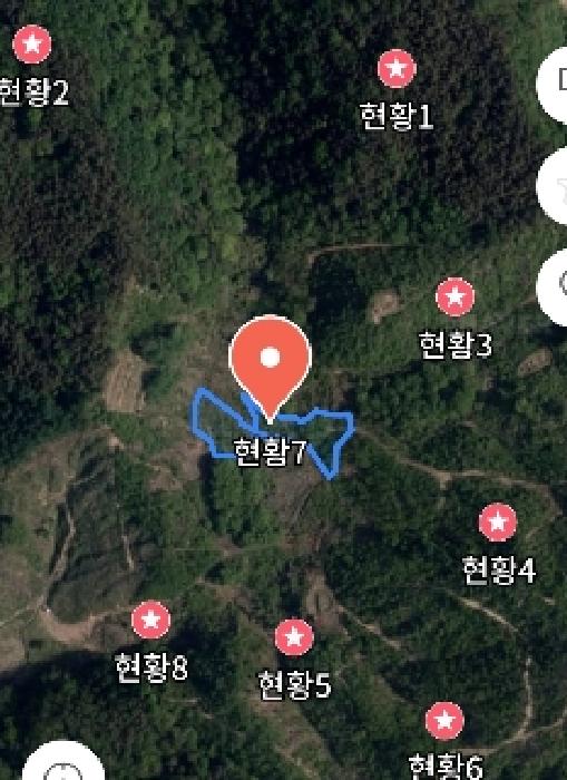 충청남도 금산군 진산면 엄정리 산10 외 7필지 임야 경매 사진 18