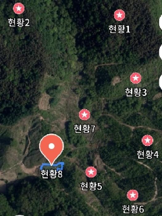 충청남도 금산군 진산면 엄정리 산10 외 7필지 임야 경매 사진 19