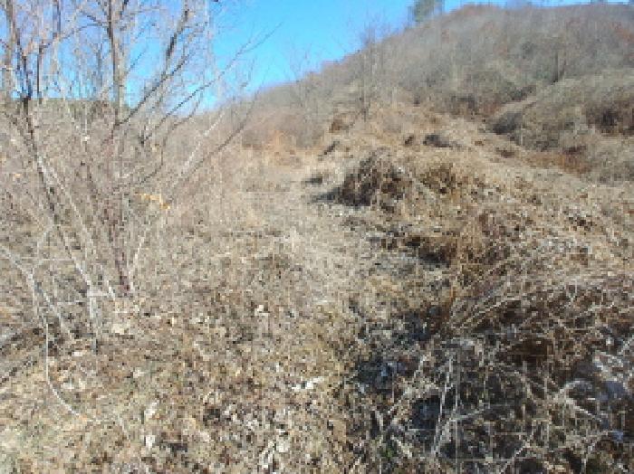 충청남도 금산군 진산면 엄정리 산10 외 7필지 임야 경매 사진 21