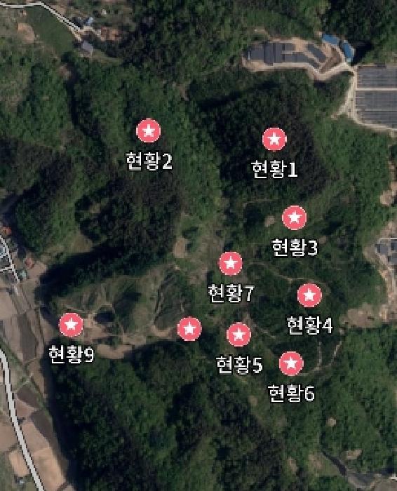 충청남도 금산군 진산면 엄정리 산10 외 7필지 임야 경매 사진 22