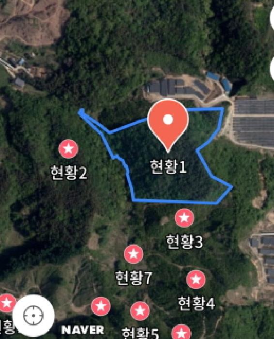 충청남도 금산군 진산면 엄정리 산10 외 7필지 임야 경매 사진 23