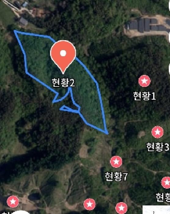 충청남도 금산군 진산면 엄정리 산10 외 7필지 임야 경매 사진 24
