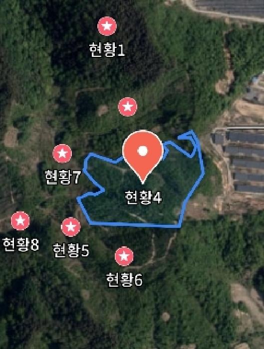 충청남도 금산군 진산면 엄정리 산10 외 7필지 임야 경매 사진 26