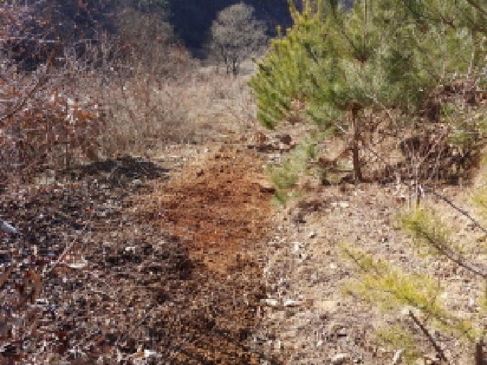 충청남도 금산군 진산면 엄정리 산10 외 7필지 임야 경매 사진 27