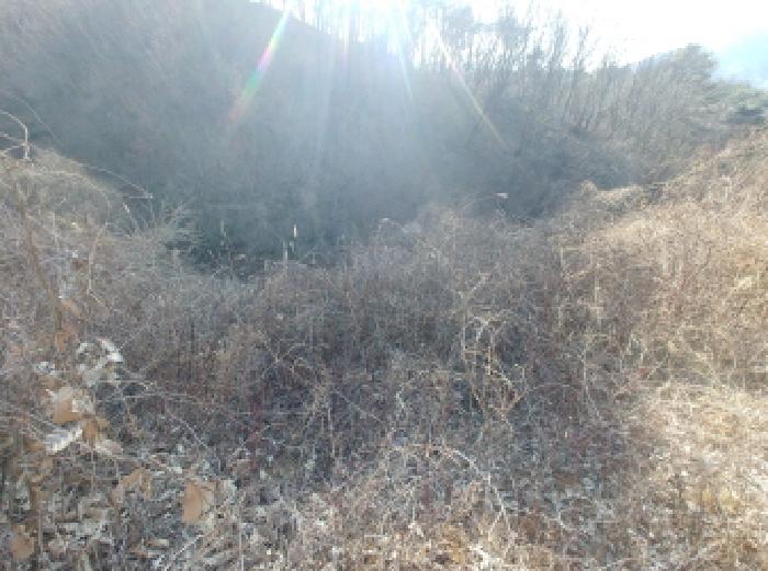 충청남도 금산군 진산면 엄정리 산10 외 7필지 임야 경매 사진 30