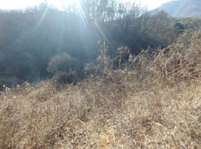 충청남도 금산군 진산면 엄정리 산10 외 7필지 임야 경매 사진 31