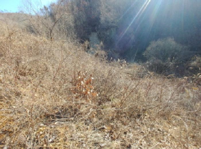충청남도 금산군 진산면 엄정리 산10 외 7필지 임야 경매 사진 32