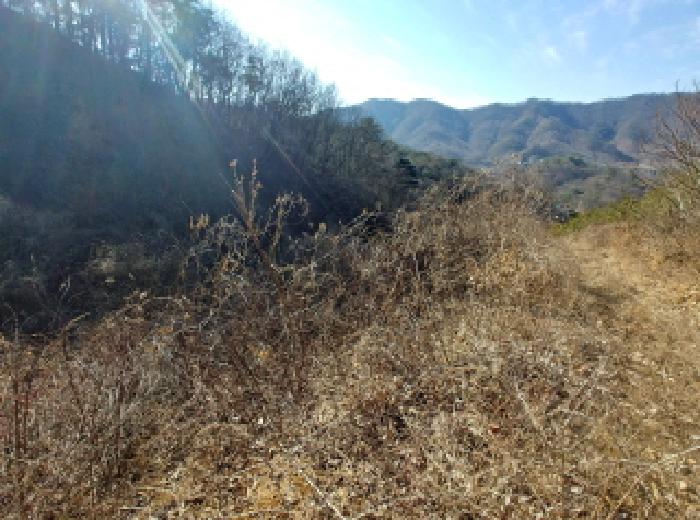 충청남도 금산군 진산면 엄정리 산10 외 7필지 임야 경매 사진 34
