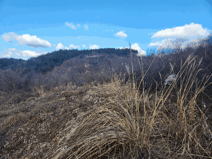 충청남도 금산군 진산면 엄정리 산10 외 7필지 임야 경매 사진 37