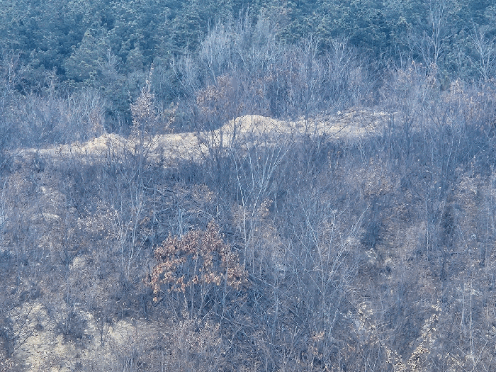 충청남도 금산군 진산면 엄정리 산10 외 7필지 임야 경매 사진 42