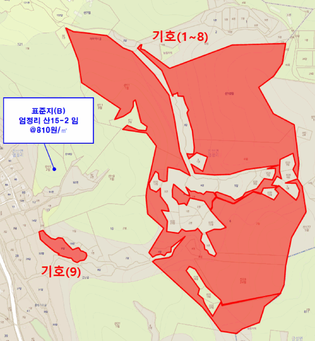 충청남도 금산군 진산면 엄정리 산10 외 7필지 임야 경매 사진 45