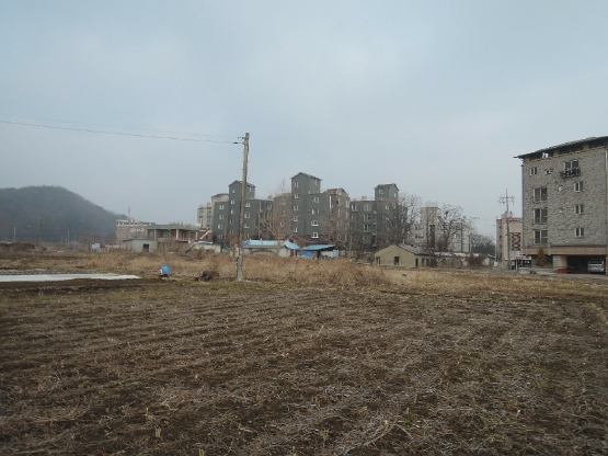 충청남도 예산군 덕산면 신평리 283-2 외 1필지 근린생활시설 경매 사진 12
