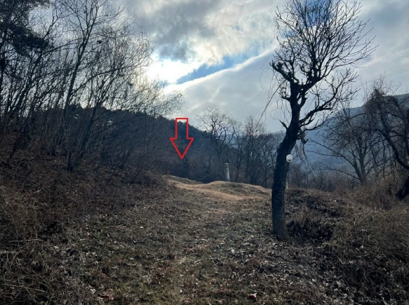 경상북도 의성군 춘산면 금오리 553 전 경매 사진 5