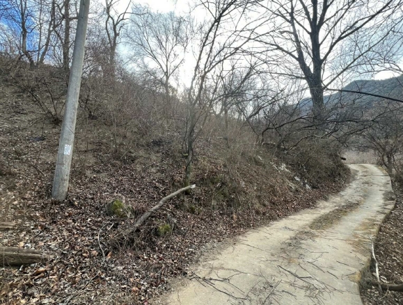 경상북도 의성군 춘산면 금오리 553 전 경매 사진 8