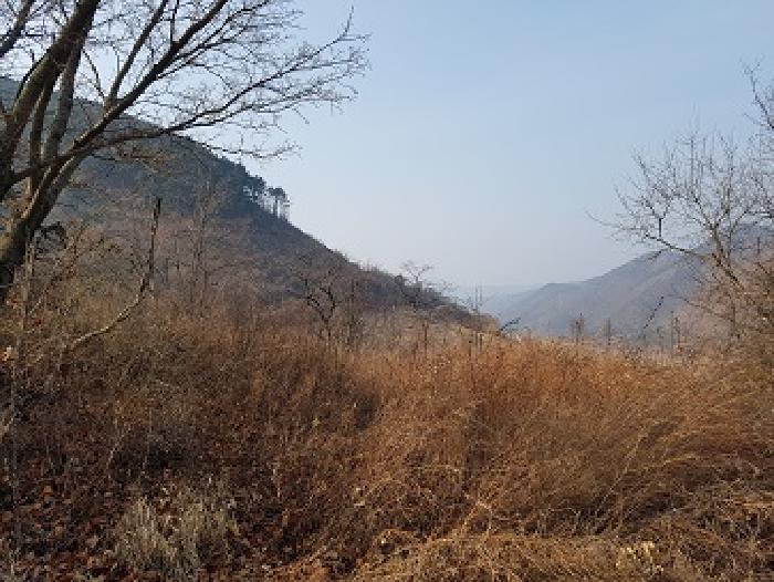 경상북도 의성군 춘산면 금오리 553 전 경매 사진 10