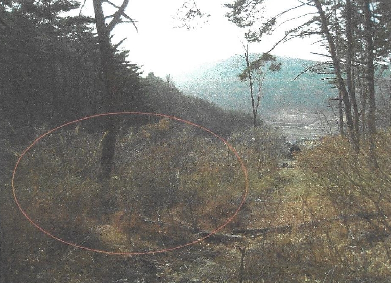 부산광역시 기장군 장안읍 덕선리 478 임야 경매 사진 6
