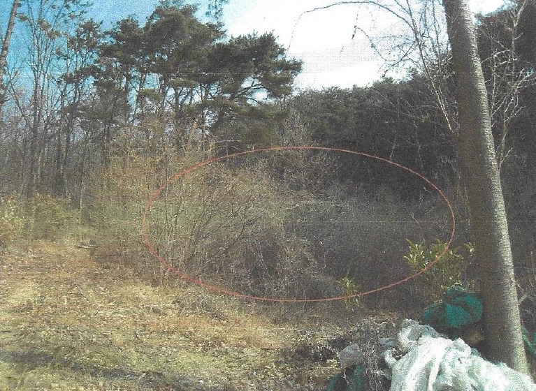 부산광역시 기장군 장안읍 덕선리 478 임야 경매 사진 7