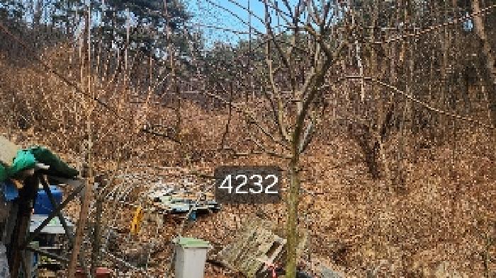 부산광역시 기장군 장안읍 덕선리 478 임야 경매 사진 8