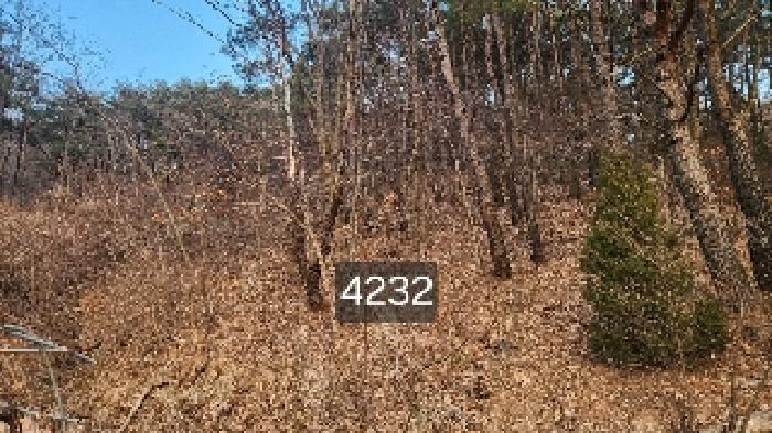부산광역시 기장군 장안읍 덕선리 478 임야 경매 사진 12