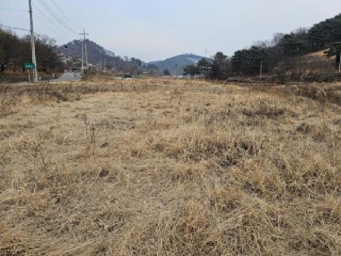경상남도 하동군 고전면 명교리 206-2 외 1필지 답 경매 사진 1