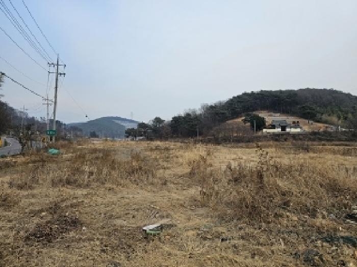 경상남도 하동군 고전면 명교리 206-2 외 1필지 답 경매 사진 2
