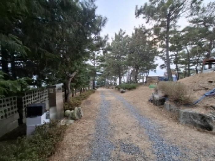 경상남도 사천시 서포면 다평리 1273-20 상가주택 경매 사진 2
