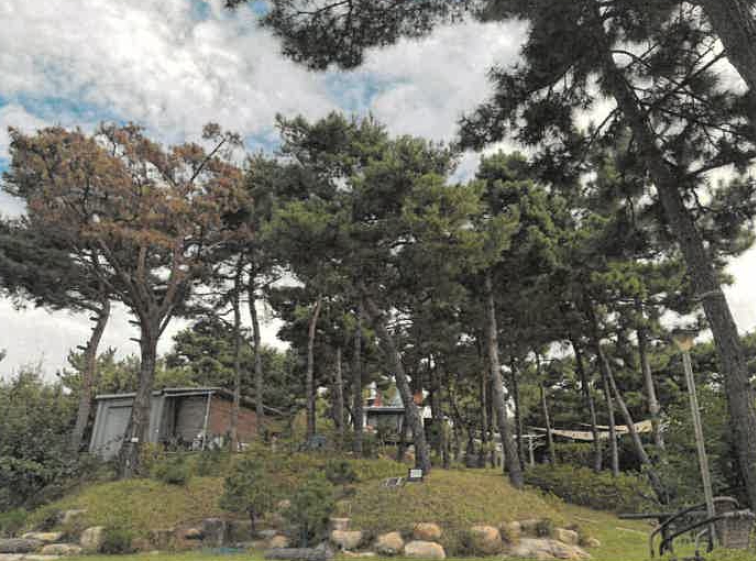 경상남도 사천시 서포면 다평리 1273-20 상가주택 경매 사진 18