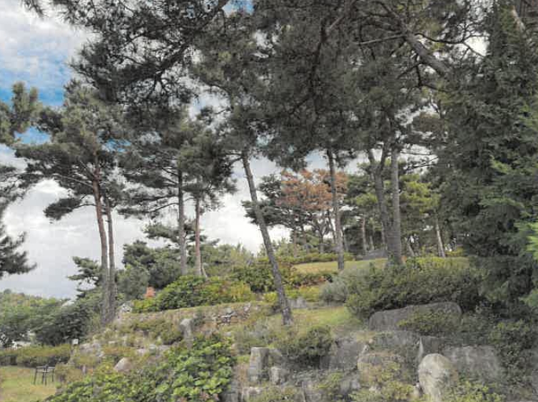 경상남도 사천시 서포면 다평리 1273-20 상가주택 경매 사진 19