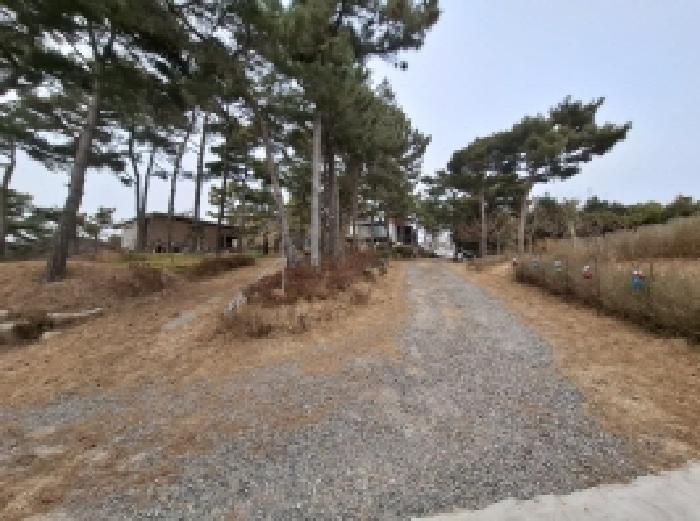 경상남도 사천시 서포면 다평리 1273-20 상가주택 경매 사진 3