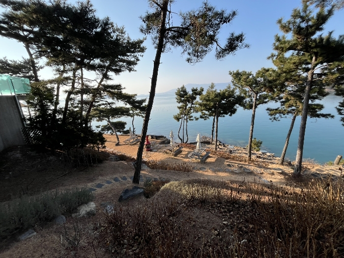 경상남도 사천시 서포면 다평리 1273-20 상가주택 경매 사진 24