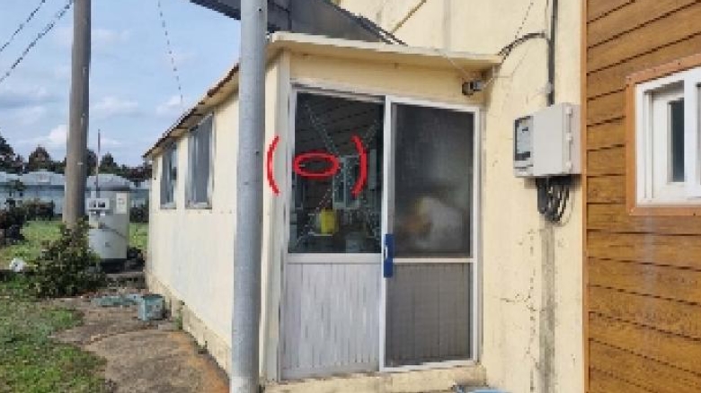 제주특별자치도 서귀포시 성산읍 난산리 30-1 외 2필지 동물및식물관련시설 경매 사진 18