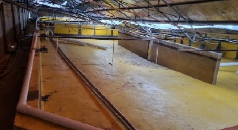 제주특별자치도 서귀포시 성산읍 난산리 30-1 외 2필지 동물및식물관련시설 경매 사진 41