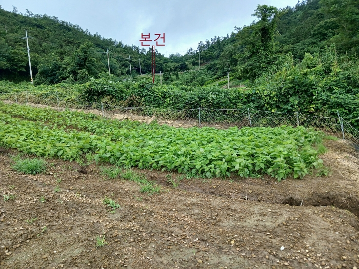 전라남도 신안군 도초면 이곡리 1458 전 경매 사진 2