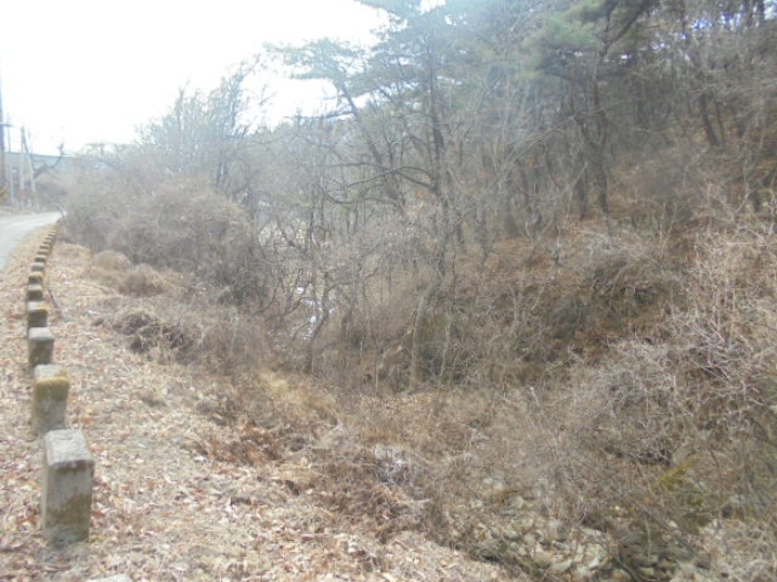 충청북도 음성군 음성읍 용산리 산11-3 외 3필지 임야 경매 사진 2