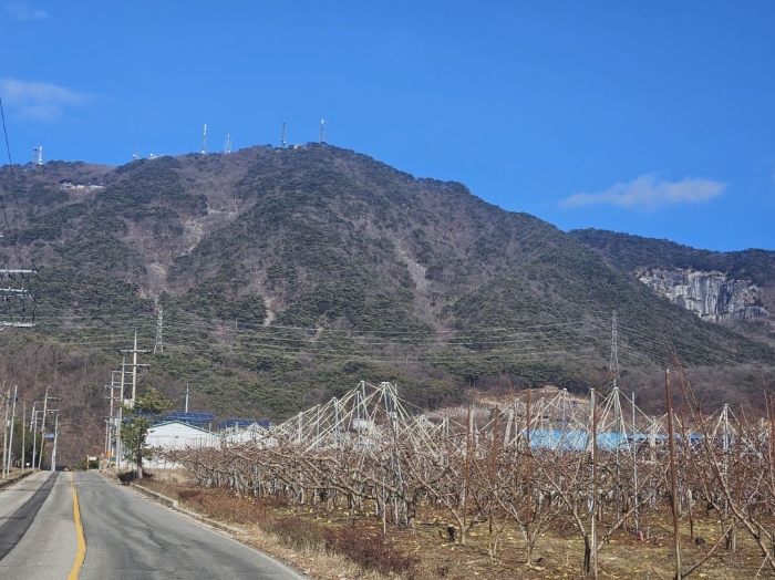 충청북도 음성군 음성읍 용산리 산11-3 외 3필지 임야 경매 사진 11