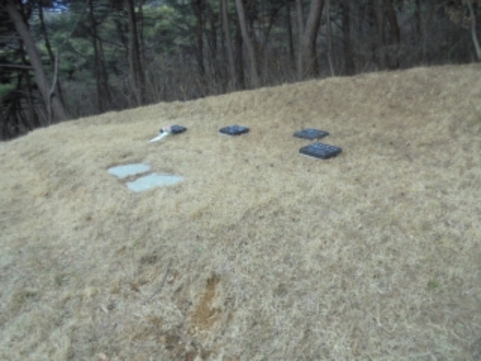 충청북도 음성군 음성읍 용산리 산11-3 외 3필지 임야 경매 사진 4