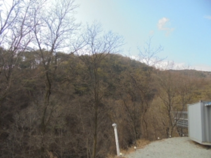 충청북도 음성군 음성읍 용산리 산11-3 외 3필지 임야 경매 사진 6
