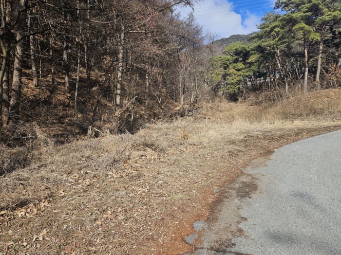 충청북도 음성군 음성읍 용산리 산11-3 외 3필지 임야 경매 사진 7